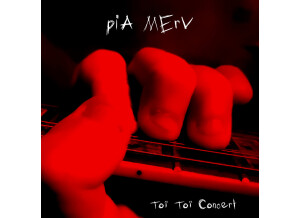 piA MErv - ToiToi Concert