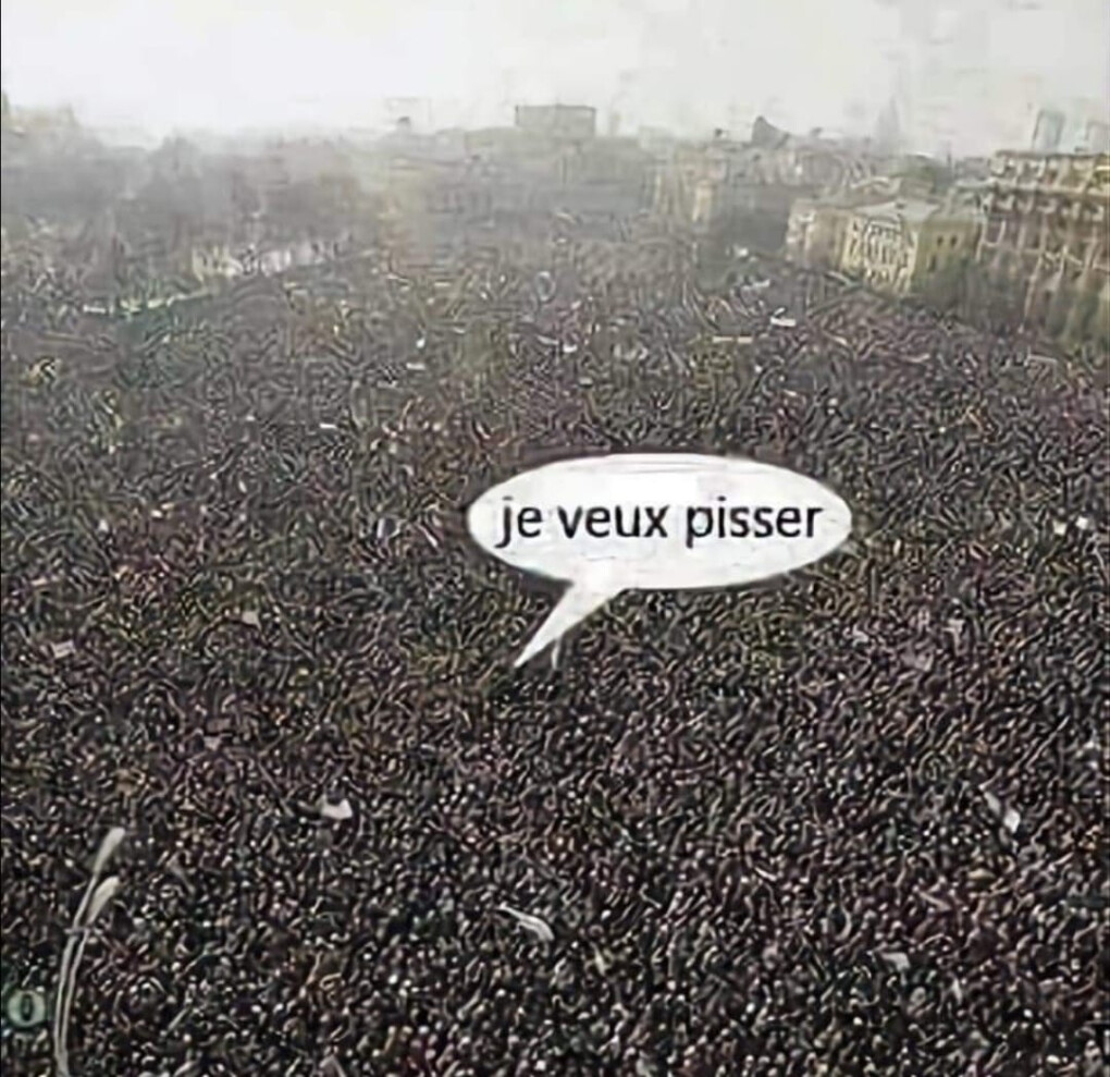 6062453.jpeg 6062453.jpeg