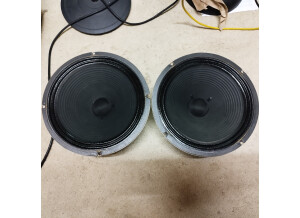 Celestion G12H Anniversary (42506)