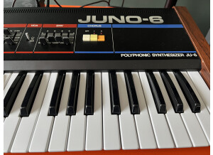 Roland JUNO-6 (76444)