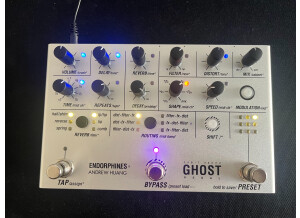 Endorphin Ghost Pedal