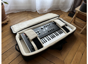 Ashun Sound Machines Hydrasynth Keyboard (57635)