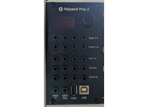Polyend Poly 2 (98585)