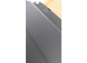 Ampeg PF-500 (64421)