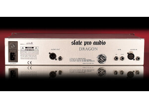 Slate Pro Audio Dragon