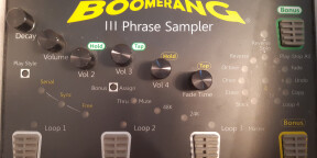 Boomerang Phrase Sampler 3 FDPin
