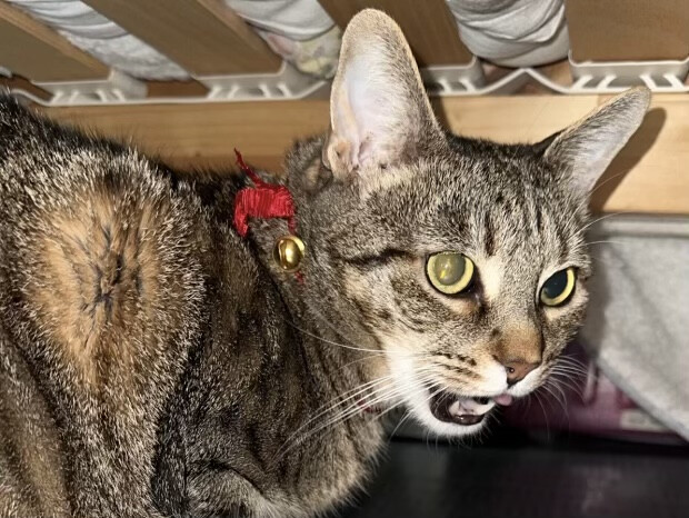 6066557.jpeg 6066557.jpeg