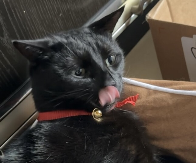 6066558.jpeg 6066558.jpeg