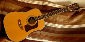 Guitare acoustique Washburn WD-42S