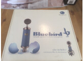 Microphone Studio Bluebird