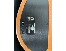 Fender American Acoustasonic Telecaster (45602)