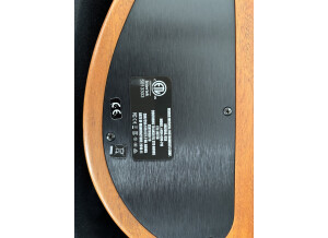 Fender American Acoustasonic Telecaster (45602)