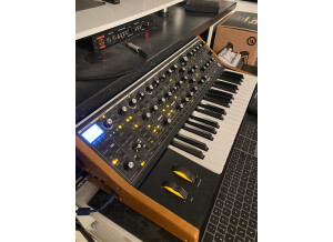 Moog Music Subsequent 37 (55960)