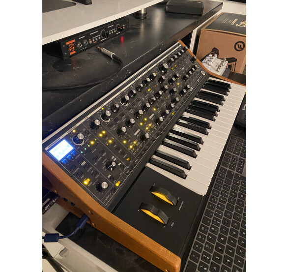 Moog Music Subsequent 37 (55960)
