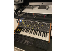 Moog Music Subsequent 37 (64641)
