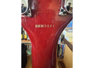 Burns Guitars Brian May (43741)