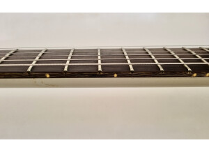 Gibson SG Special Platinum (336)