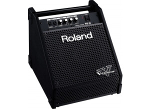 Roland PM-10 (32010)
