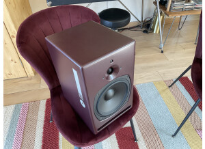 PSI Audio A21-M (49463)