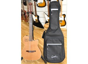 Godin Encore MultiAc (1)