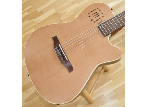 Godin Encore MultiAc (4)