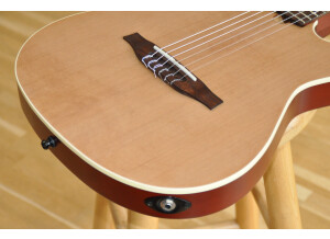 Godin Encore MultiAc (5)