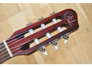 Godin Encore MultiAc (9)