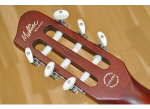 Godin Encore MultiAc (15)