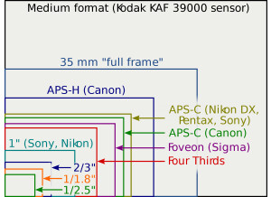 2880px-Sensor sizes overlaid inside.svg