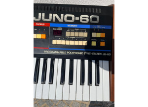 Roland JUNO-60 (96584)
