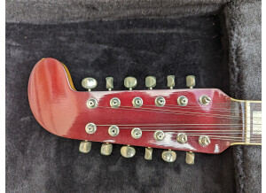 PXL 20240425 095529808