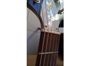 WP 20170121 14 53 41 Rich