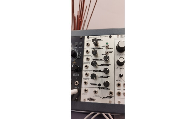 Noise Engineering Basimilus Iteritas (60808)