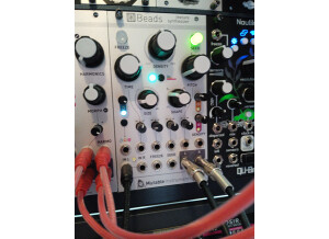Mutable Instruments Beads (10624)