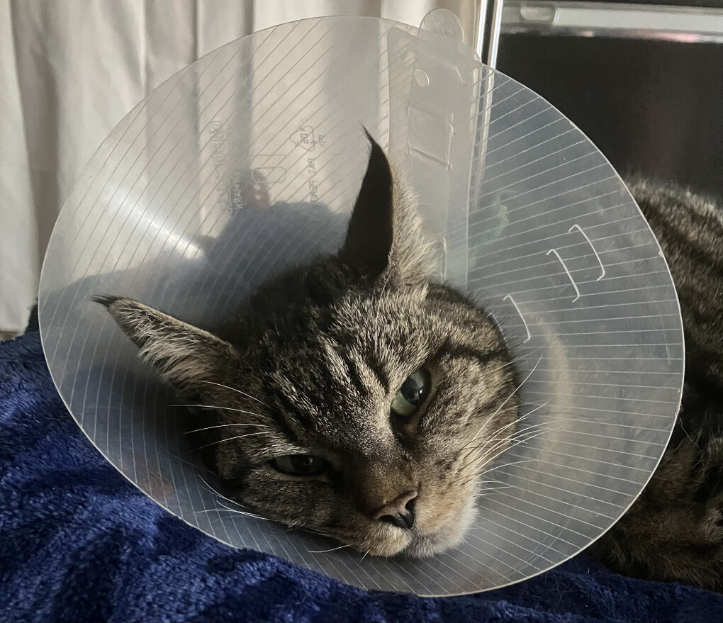 6072400.jpeg 6072400.jpeg