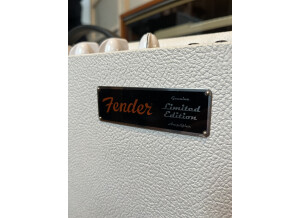 Fender Hot Rod Deluxe (747)