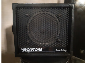 Polytone Mega Brute AV