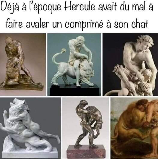 6073157.jpg 6073157.jpg