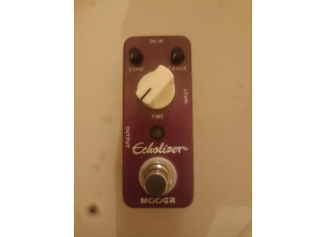 Mooer Echolizer