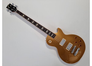 Gibson Les Paul Standard Bass (48493)
