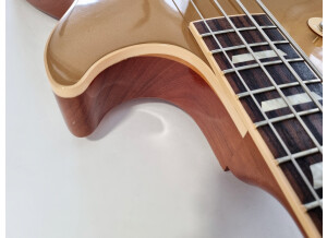 Gibson Les Paul Standard Bass (25711)