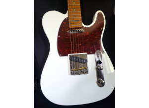 Sire Larry Carlton T7 (79270)