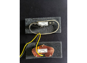 Sire Larry Carlton T7 (59002)