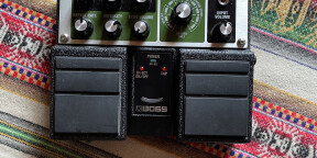 Pedale Delay Space Echo Boss RE-20