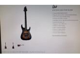 Vends guitare ESP LTD H1001FR BP Black Natural Burst
