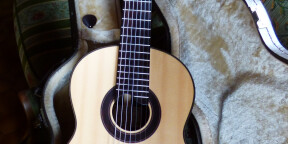 Guitare 7 cordes Nylon Armin Hanika 