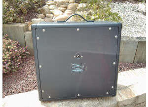 Blackstar Amplification HT-110 (32217)