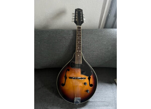 Fender PM-180E Mandolin (89075)