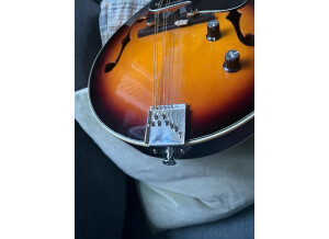 Fender PM-180E Mandolin (72054)