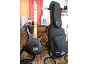 Cort Stellar (81174)